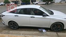 دۆنگ فینگ شاین